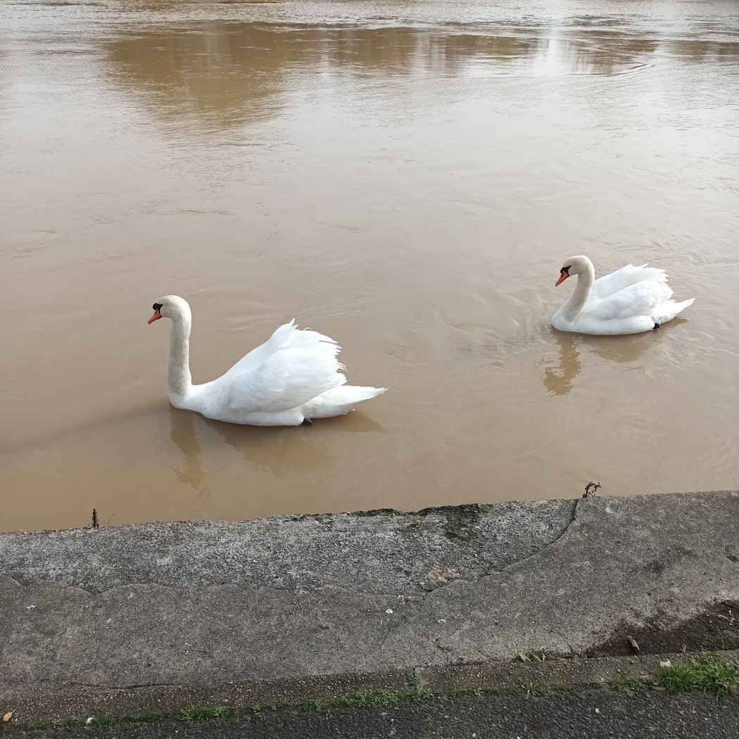 Bord de Marne 2